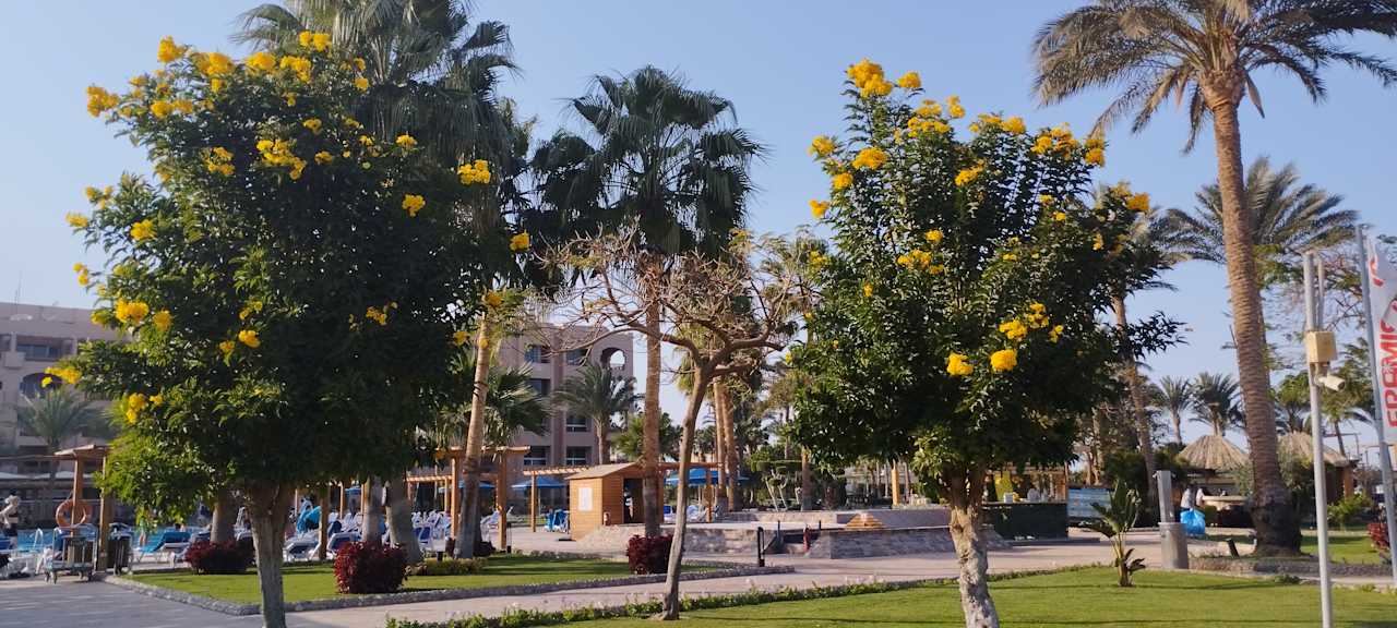 Außenansicht Continental Hotel Hurghada