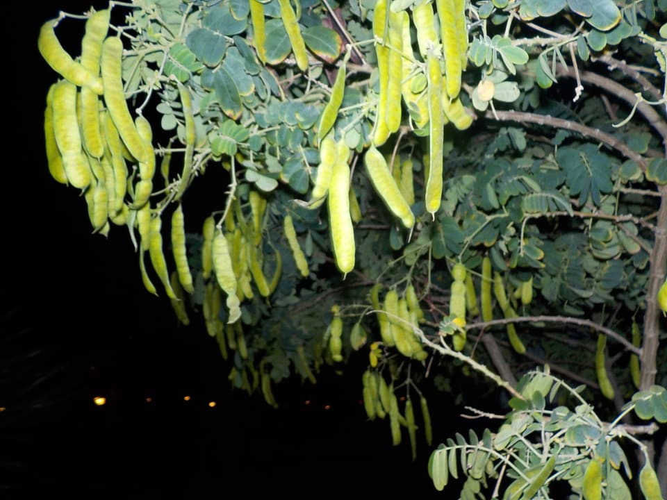 Riff Three Corners Equinox Beach Resort