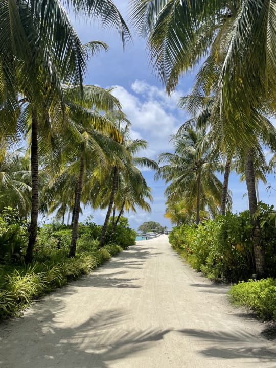 Gartenanlage Kuredu Island Resort & Spa