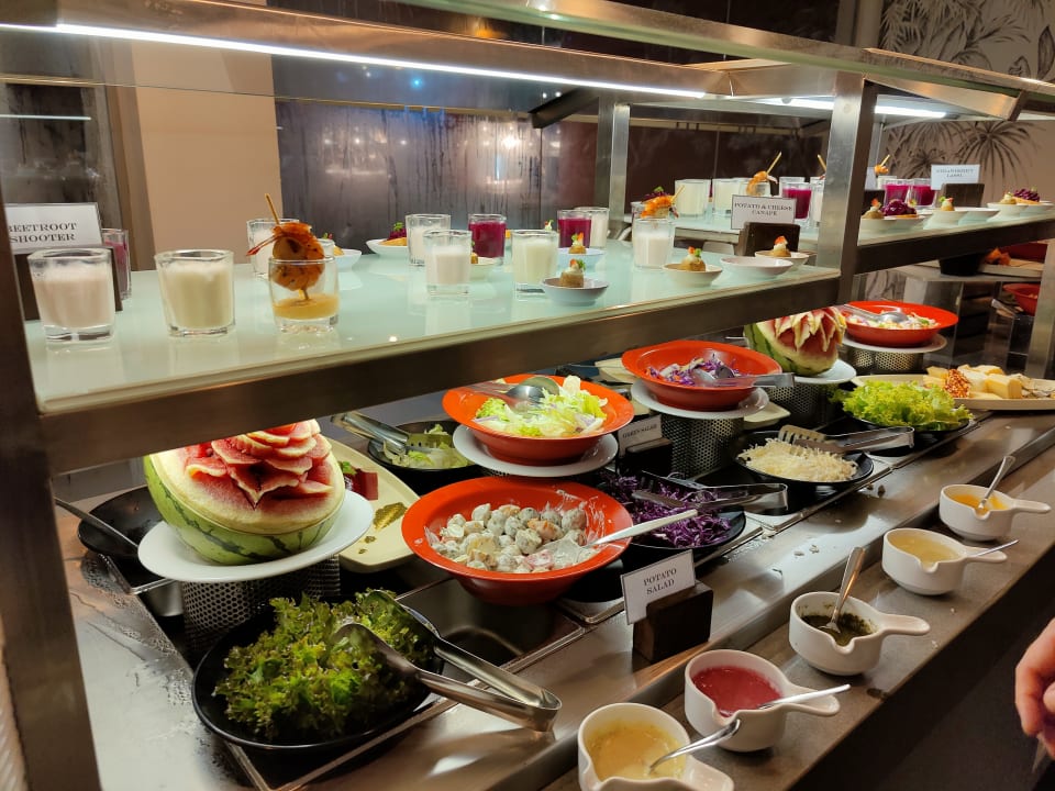 Gastro Club Hotel Dolphin