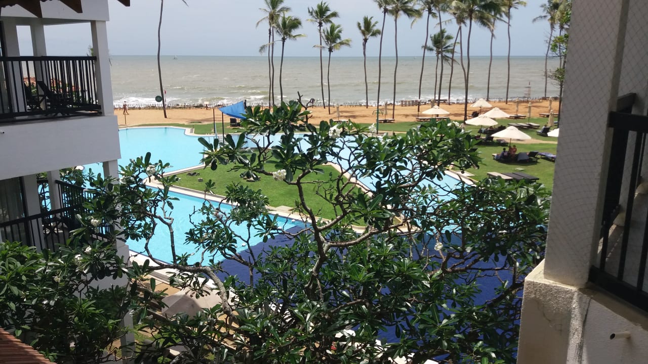 Pool Club Hotel Dolphin
