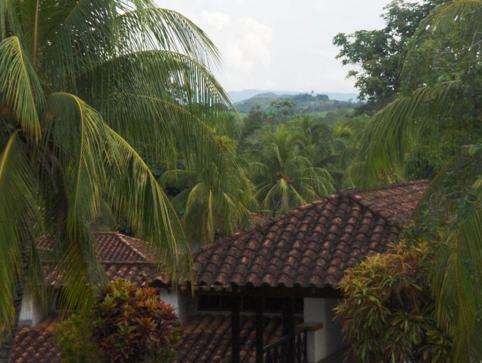 Landschaft Puerto Palmeras