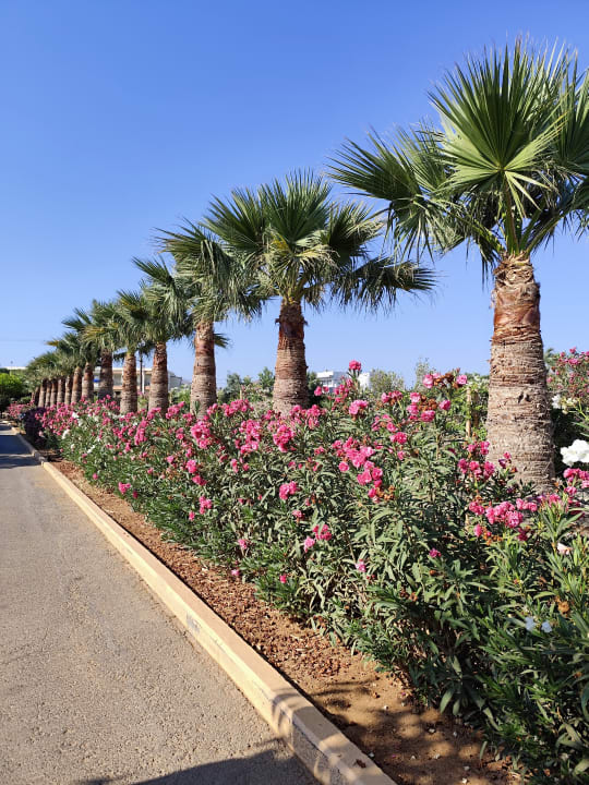 Gartenanlage Anissa Beach & Village