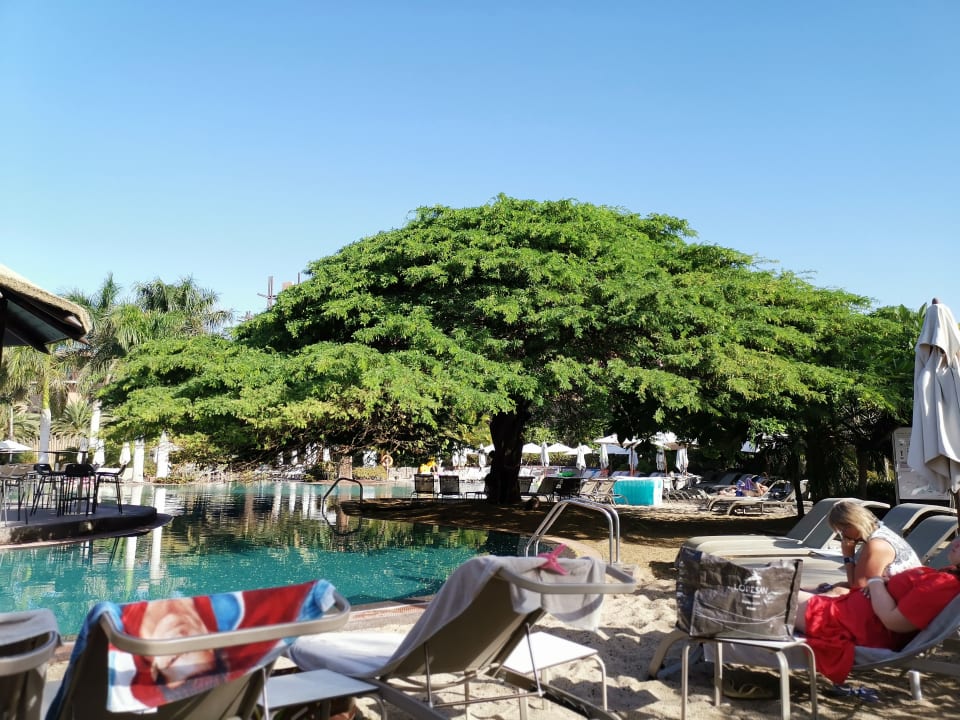 Pool Lopesan Baobab Resort