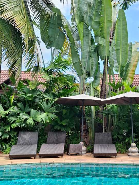 Pool Laluna Hotel & Resort