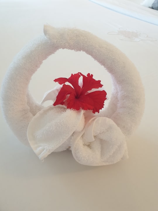 Zimmer Akumal Bay Beach & Wellness Resort