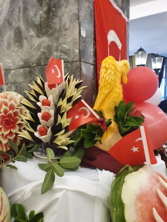 Gastro Seashell Vega