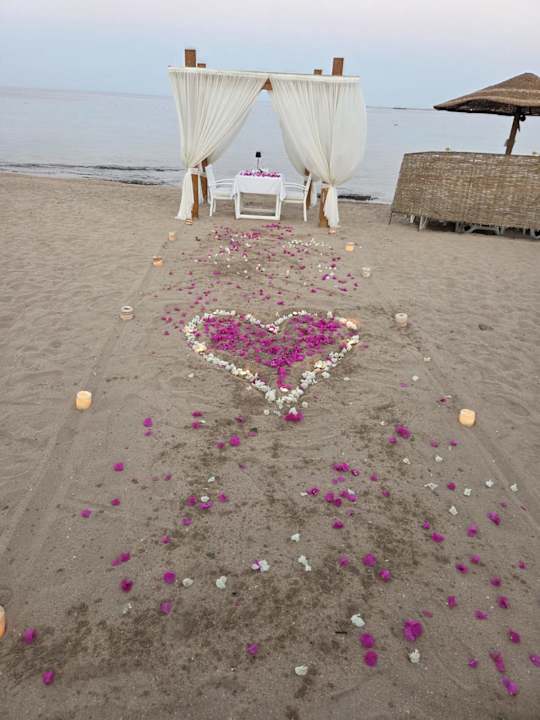 Gastro Fort Arabesque Resort, Spa & Villas