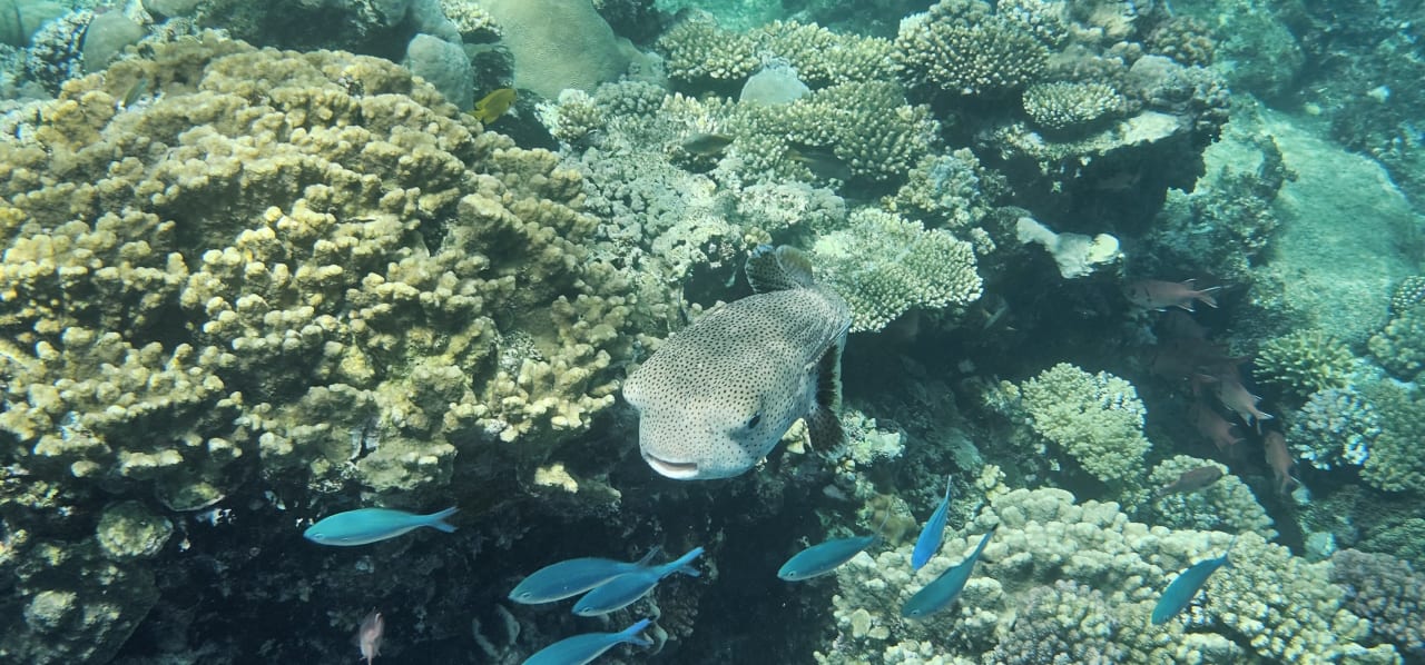 Strand Casa Mare Resort