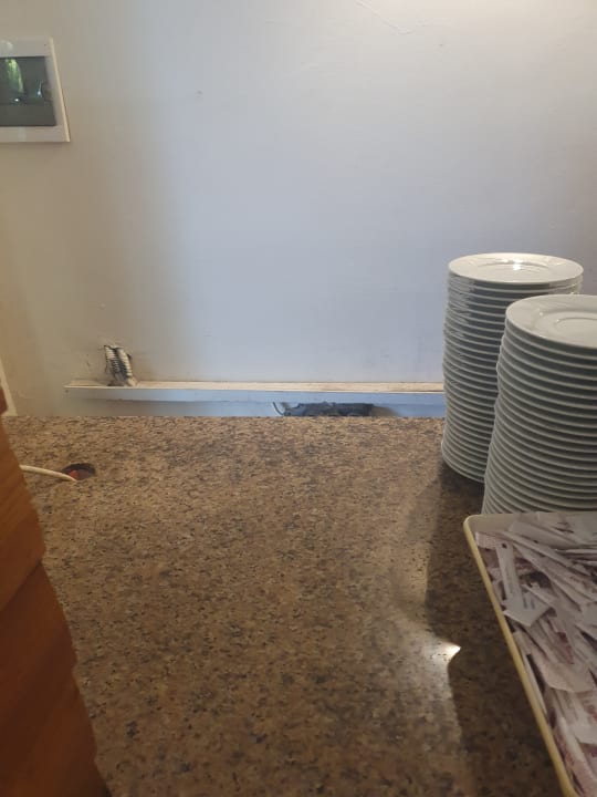 Gastro Club Turtas Beach Hotel