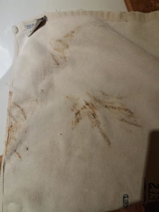 Zimmer Grand Waterworld Makadi & Family Star Makadi