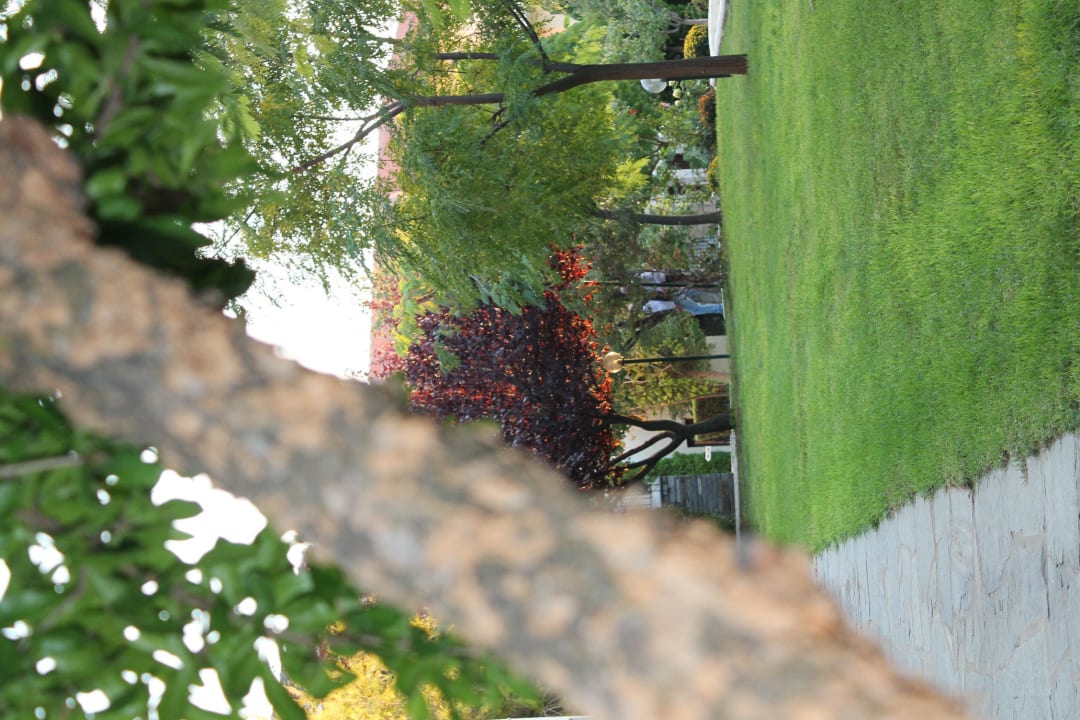 Seitenblick in den Hotelgarten Hotel Portes Beach