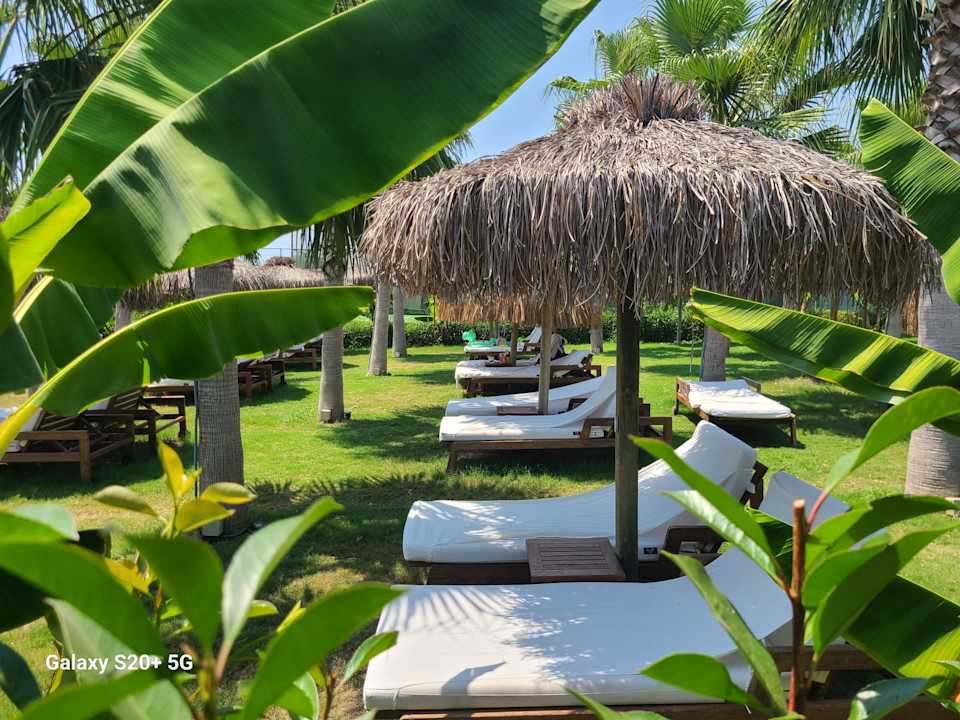 Strand Rubi Platinum Sign