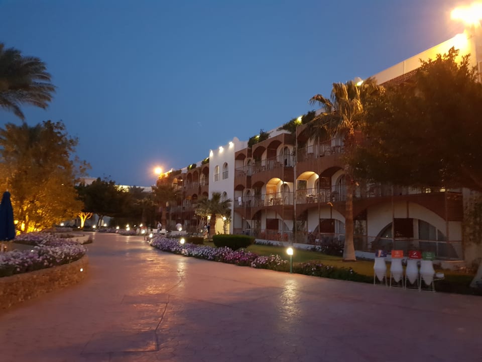 Außenansicht Desert Rose