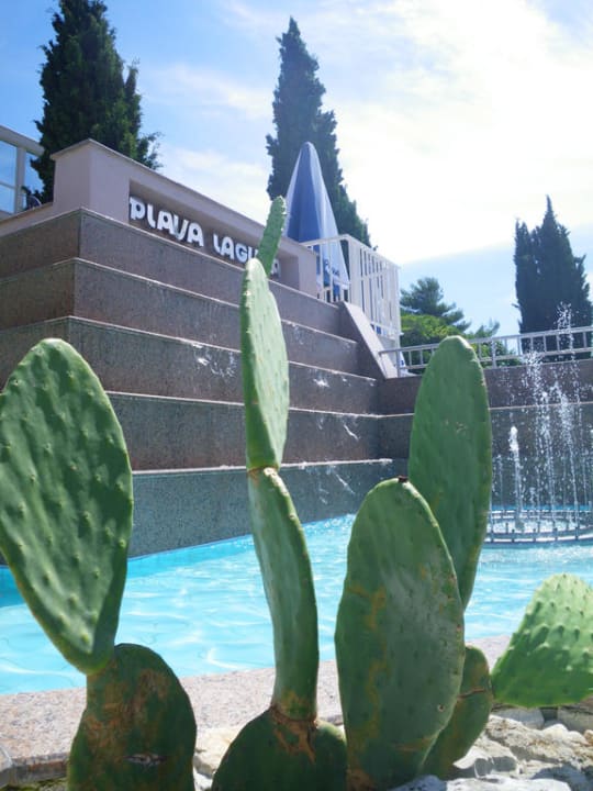 Eingangsbereich mit Springbrunnen Hotel Zorna Plava Laguna