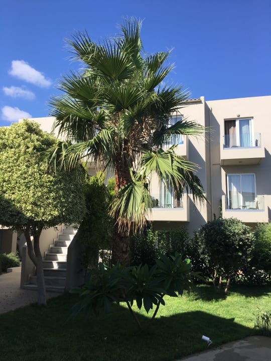 Ausblick Nefeli Hotel Rethymno