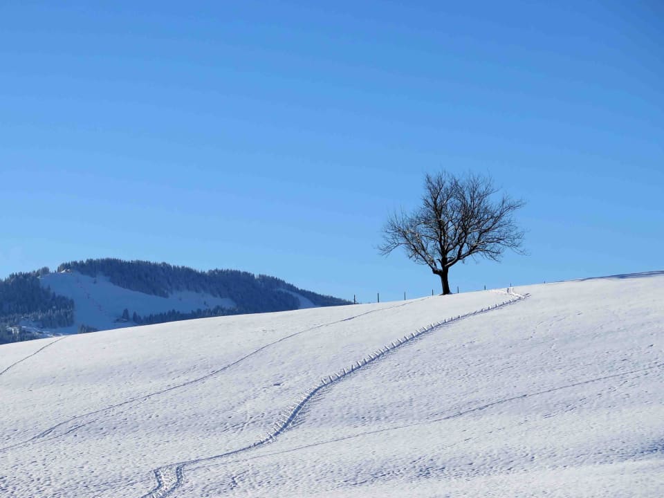 Wenn der Blick ins Weisse schweift Haubers Naturresort