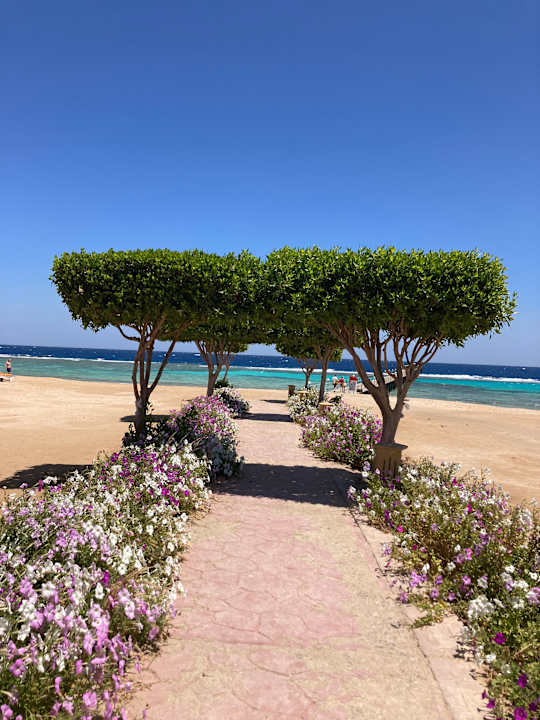 Strand Wadi Lahmy Azur Resort