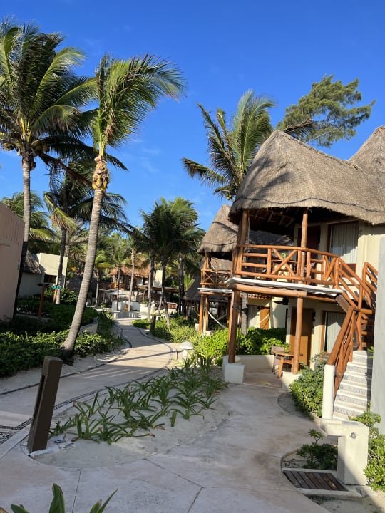Gartenanlage Mahekal Beach Resort