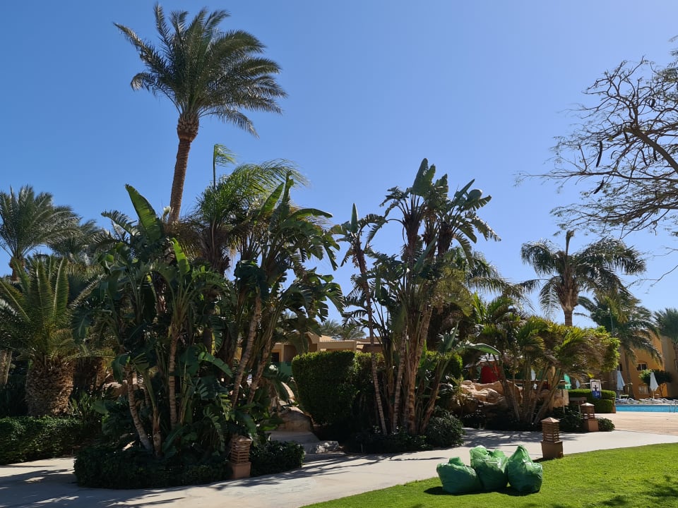 Gartenanlage Stella Beach Resort & Spa Makadi Bay