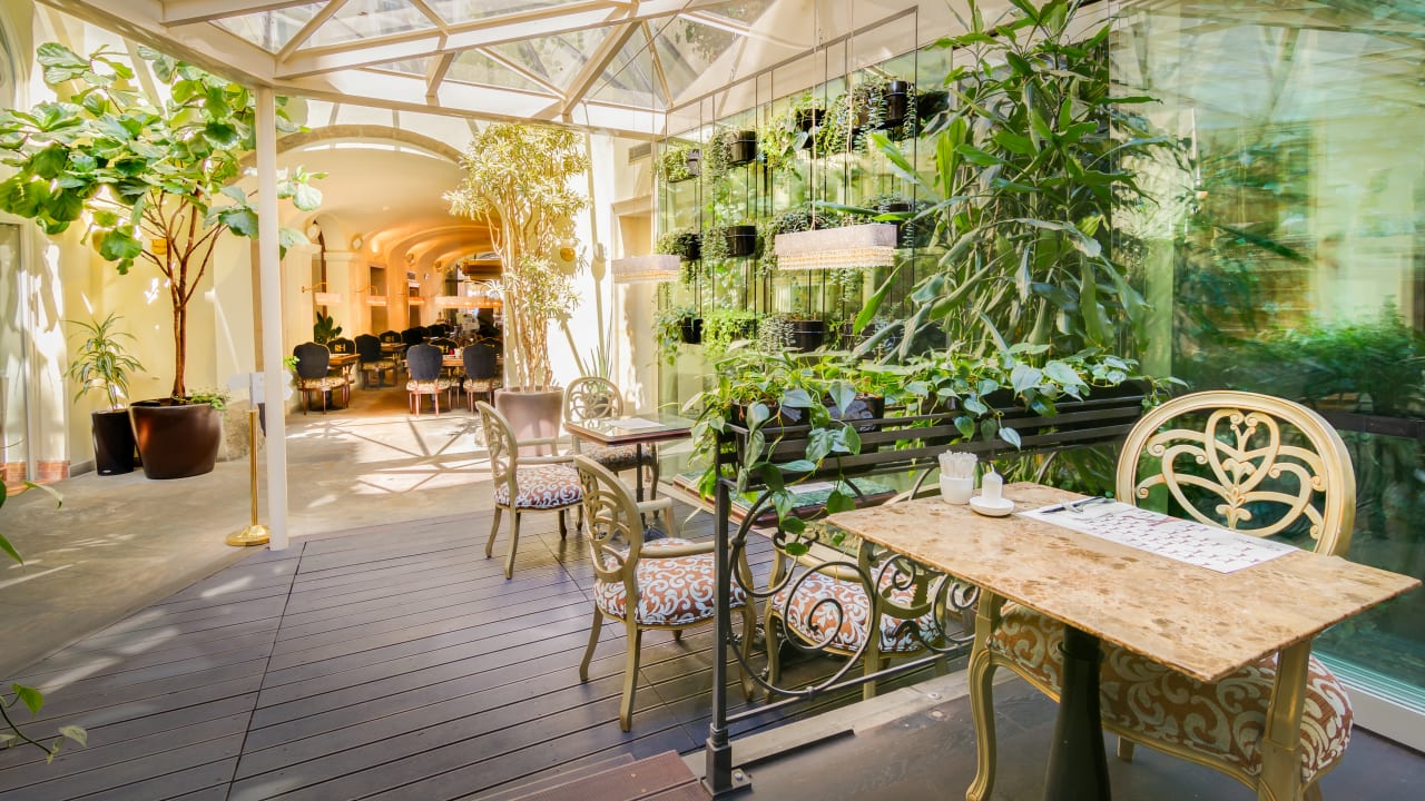 Gastro The Dominican