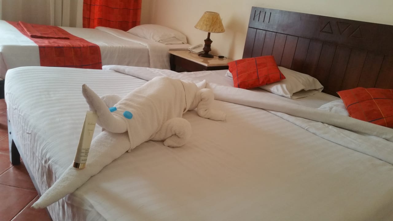 Zimmer Three Corners Sea Beach Resort