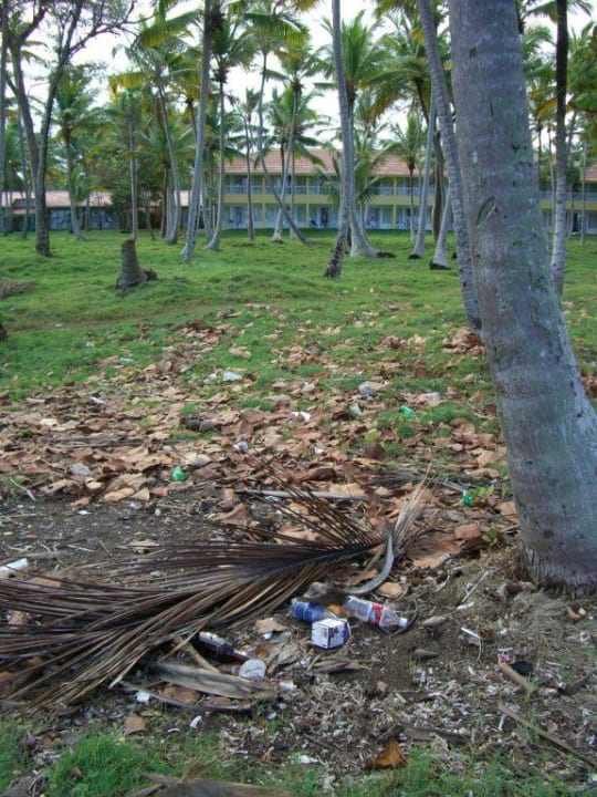 Grünanlage Wyndham Alltra Samana