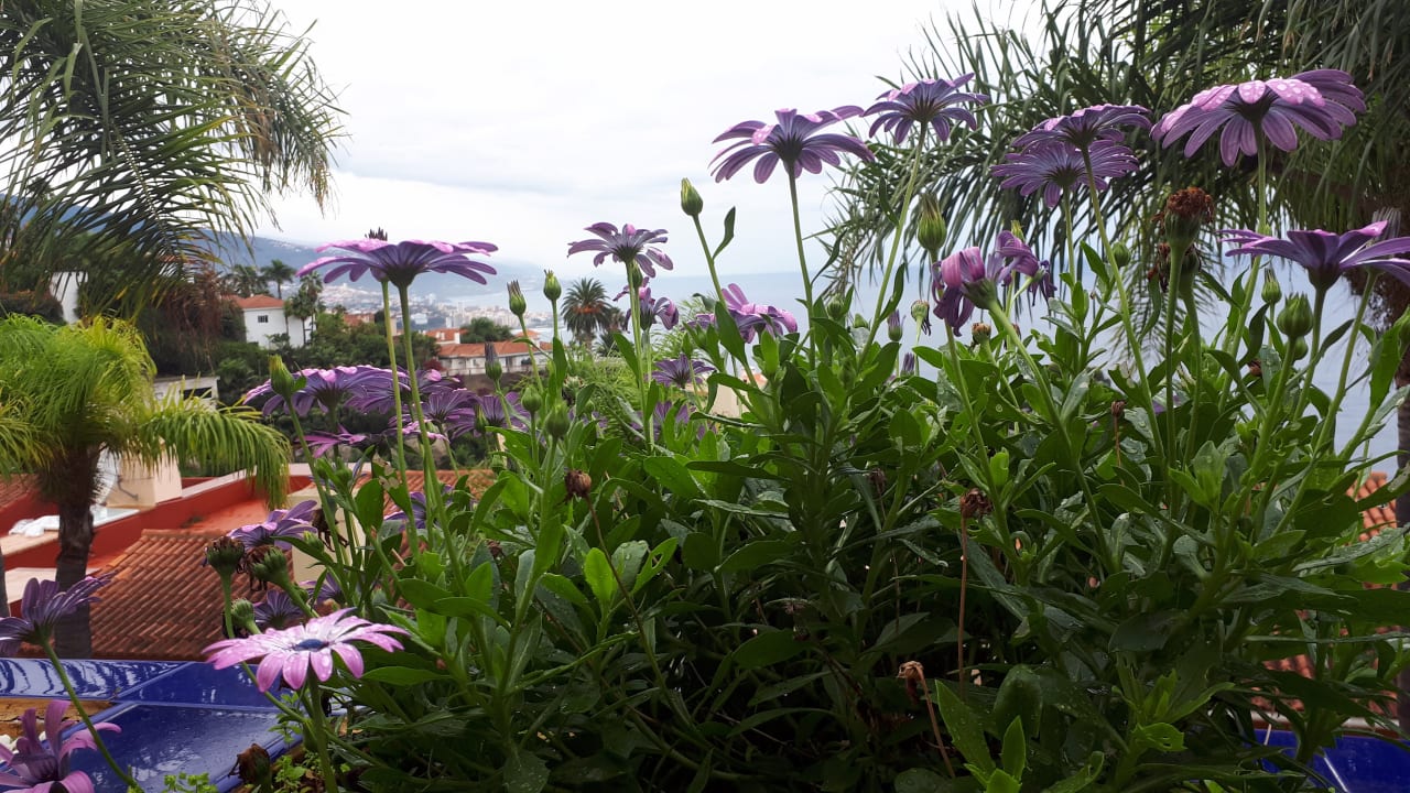 Ausblick Coral La Quinta Park Suites