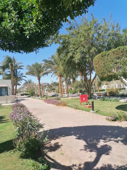 Gartenanlage Pharaoh Azur Resort