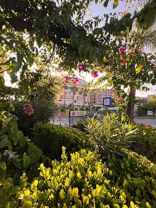 Gartenanlage Hotel Arabella World