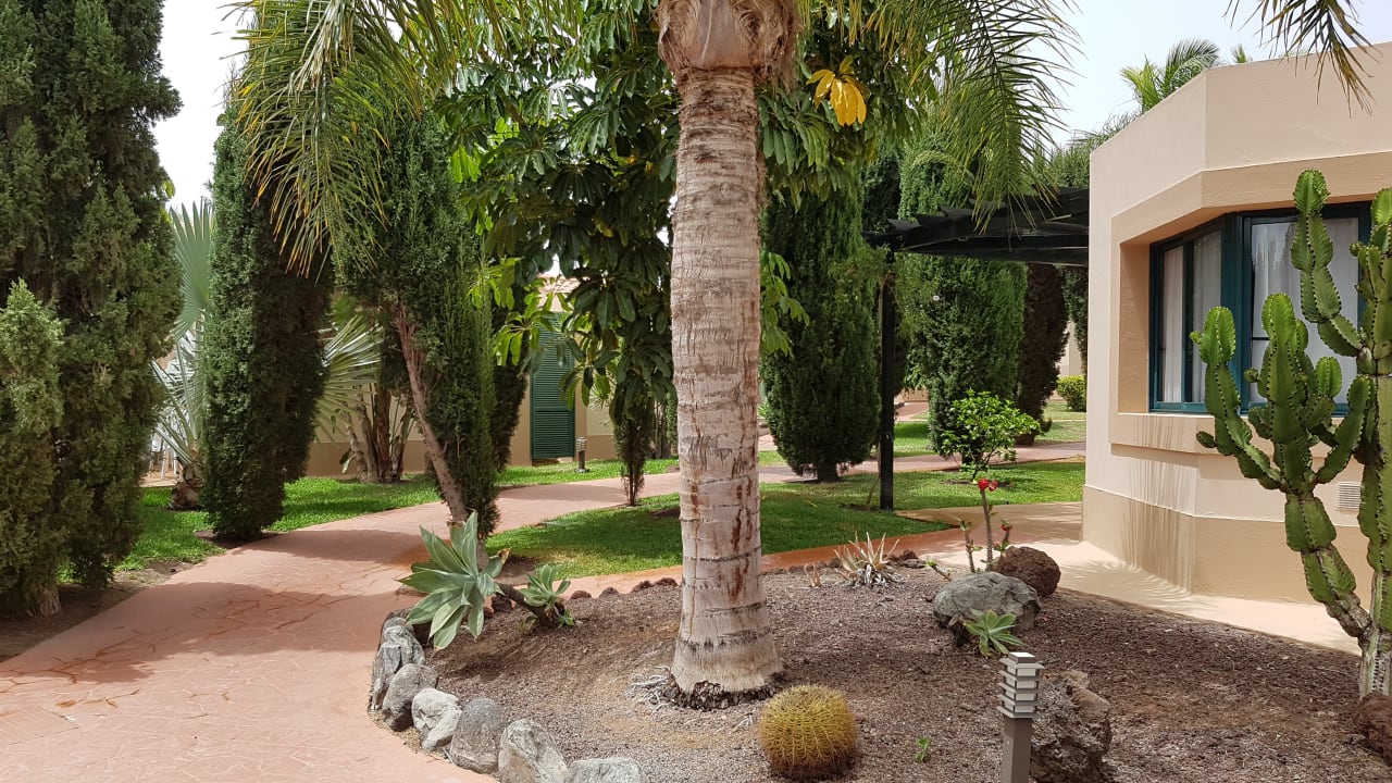 Gartenanlage allsun Hotel Esplendido