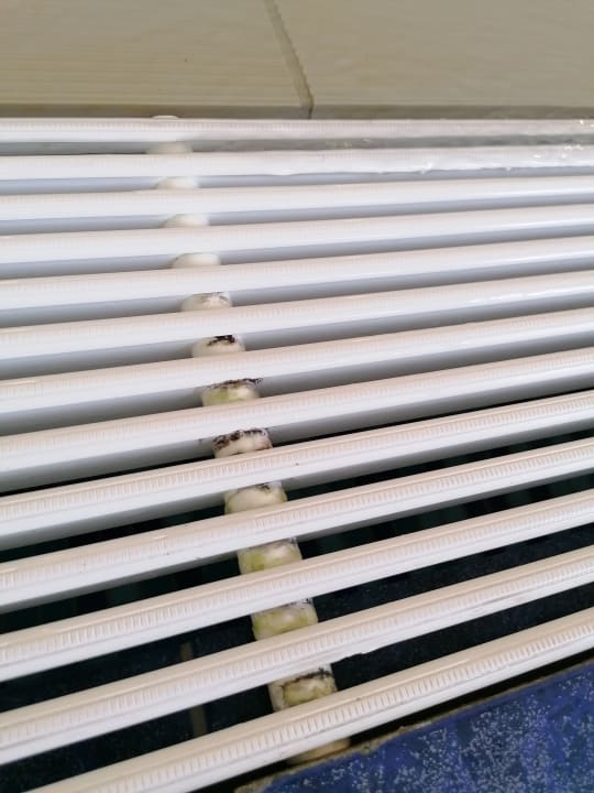 Pool Best Western Wein- & Parkhotel Nierstein