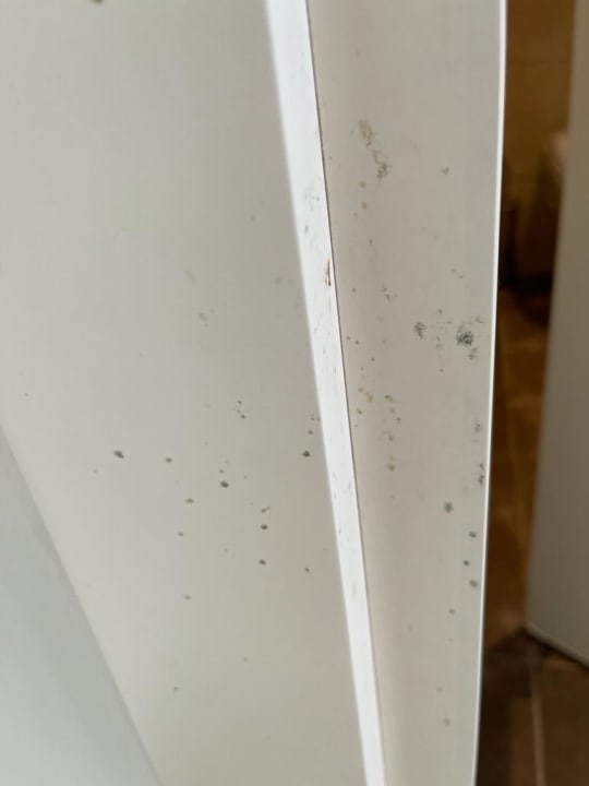 Zimmer Well Palace Side