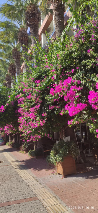 Außenansicht Gardenia Hotel