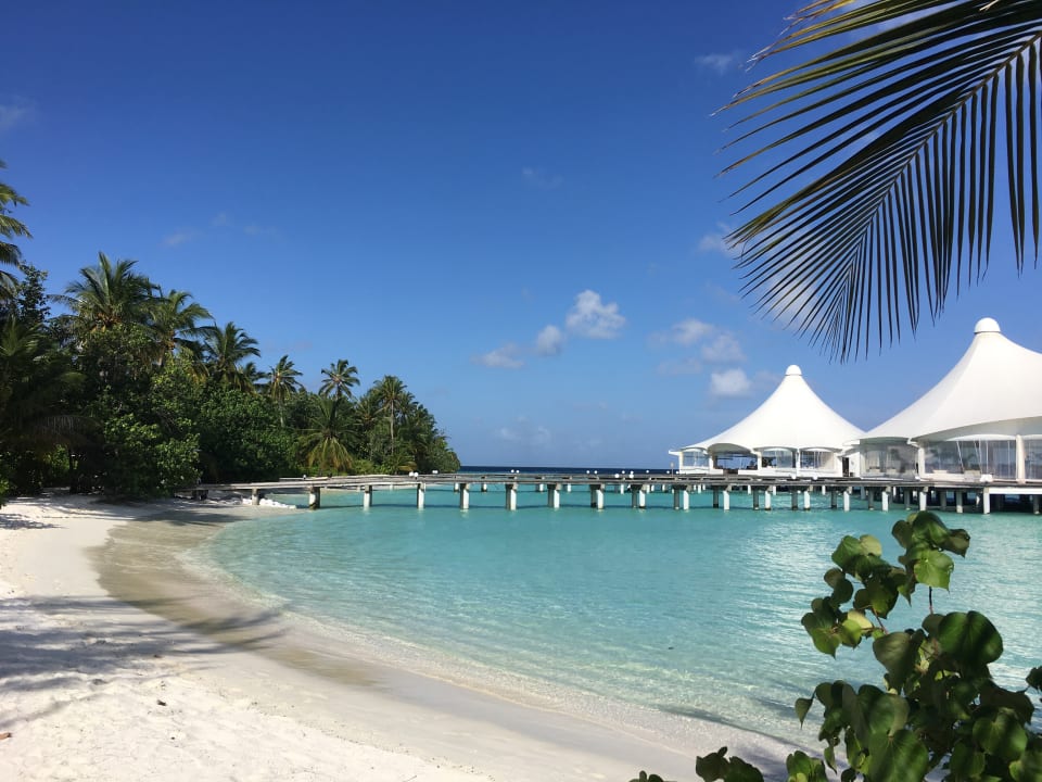 Strand Safari Island Maldives
