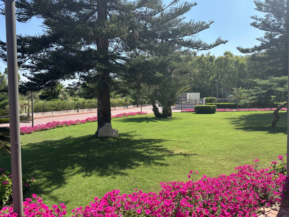 Gartenanlage Arum Barut Collection