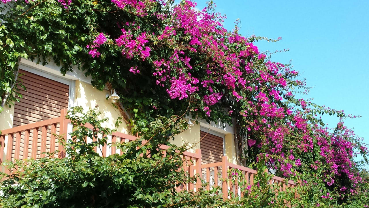 Wohnbereich Anissa Beach & Village