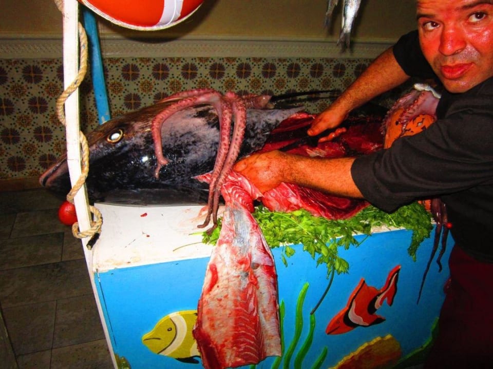 Fisch ganz frisch Houda Golf & Beach Club