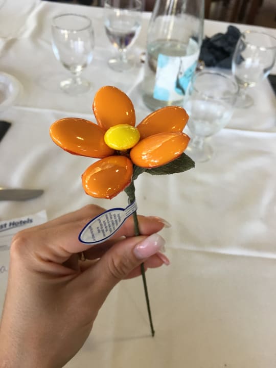 Restaurant Hotel Best Sol d'Or