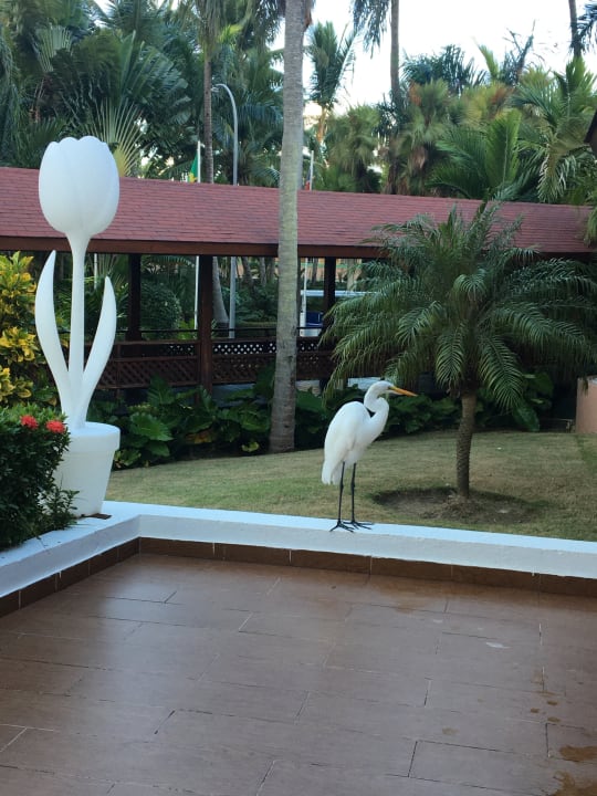 Gartenanlage Grand Palladium Select Bávaro Resort & Spa