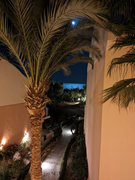 Ausblick Mövenpick Resort & Spa El Gouna