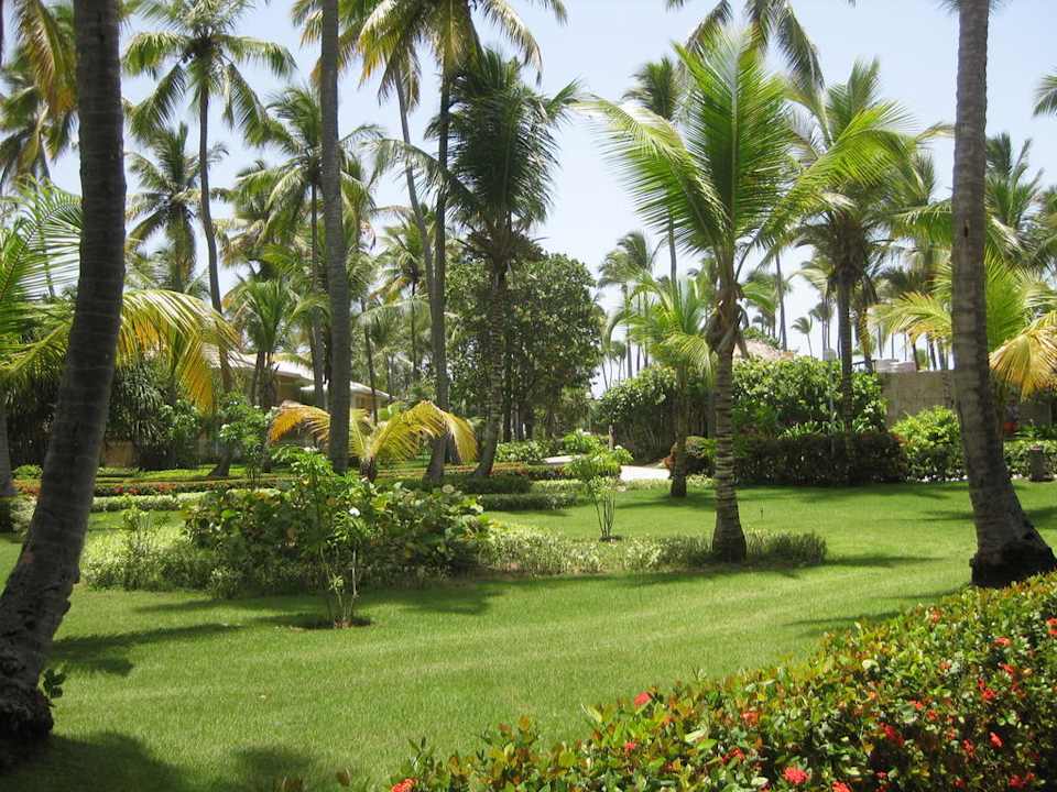 Aussicht vom Balkon in den Garten und zum Strand Grand Palladium Select Bávaro Resort & Spa