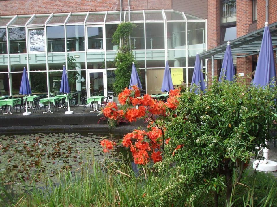 Zierfischteich vom Gustav Stresemann Institut GSI Hotel Bonn