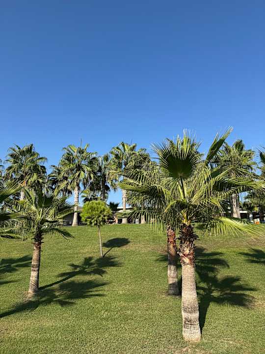 Gartenanlage Sultan of Dreams Hotel & Spa