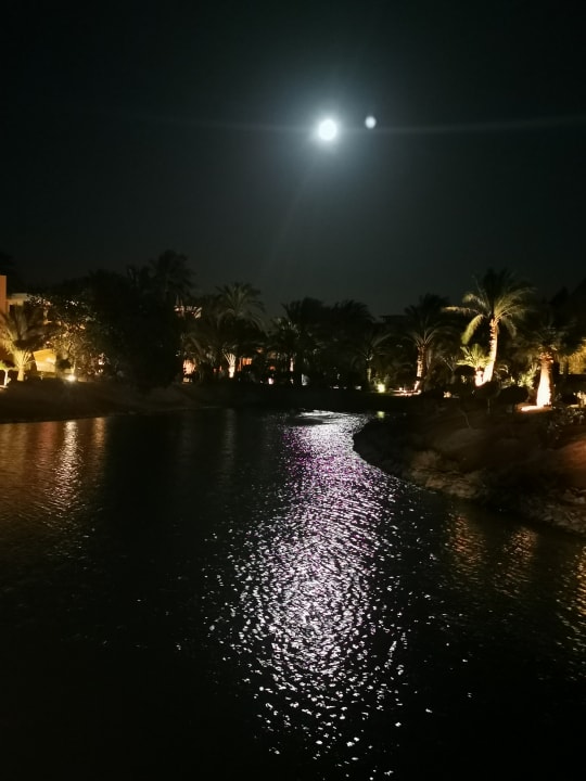 Gartenanlage Sheraton Miramar Resort El Gouna