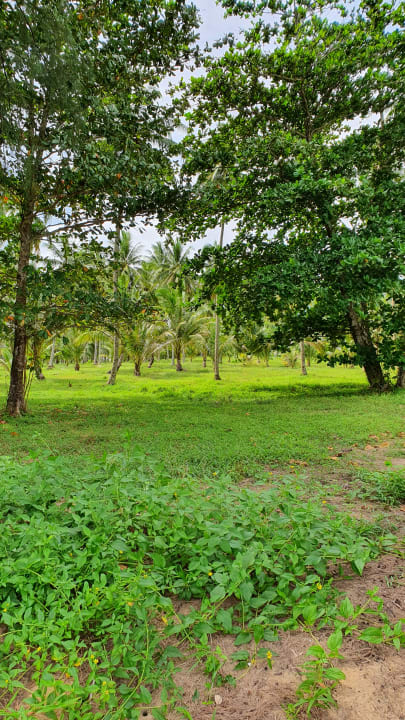 Gartenanlage The Sands Khao Lak by Katathani