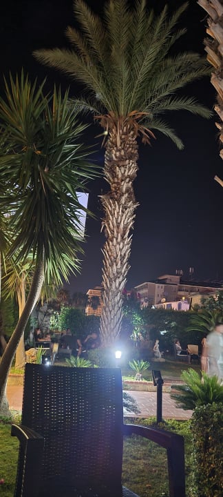 Gartenanlage Hotel Arabella World