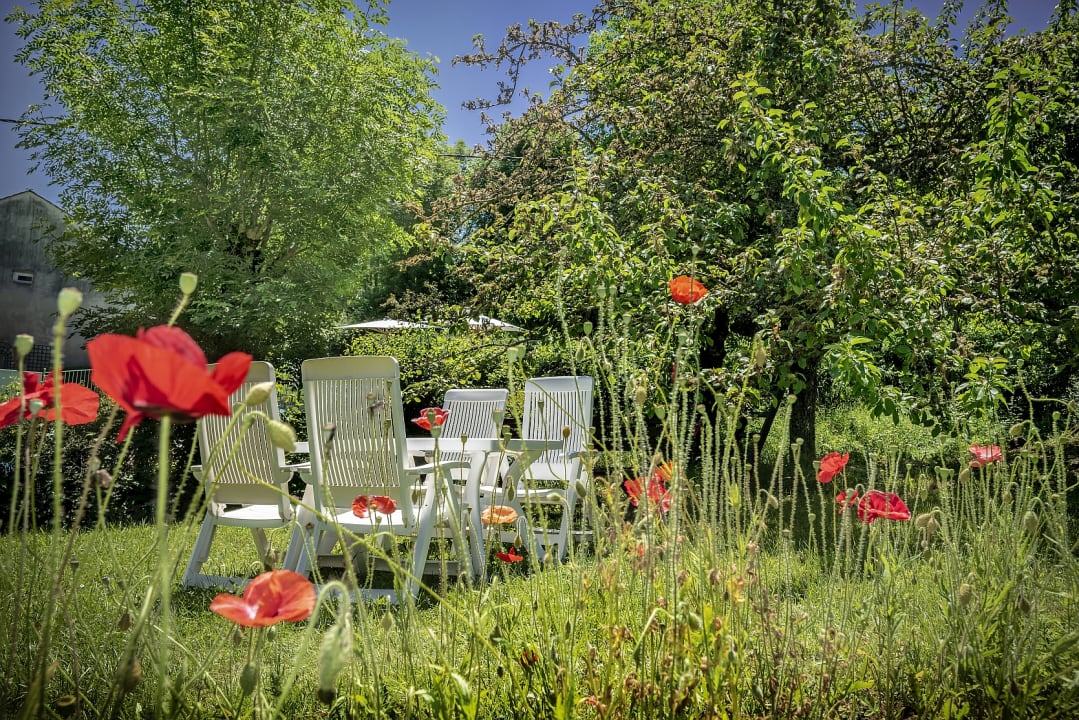 Gartenanlage Hotel Logis le Mont Aigoual
