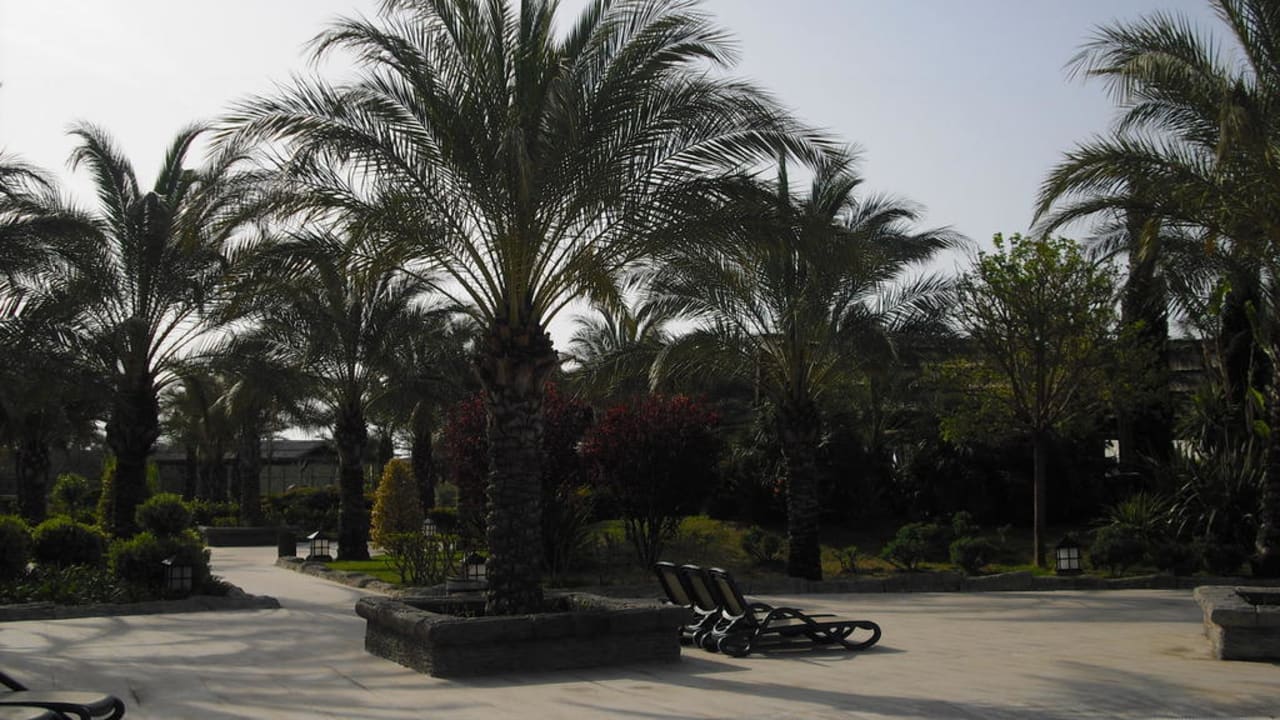 Am Kinderpool Royal Wings Hotel