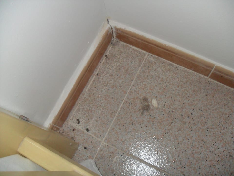 Käfer, Dreck und Staub auf den Boden Sun Club Eldorado